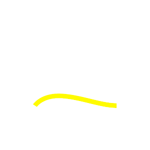 shape_not_found